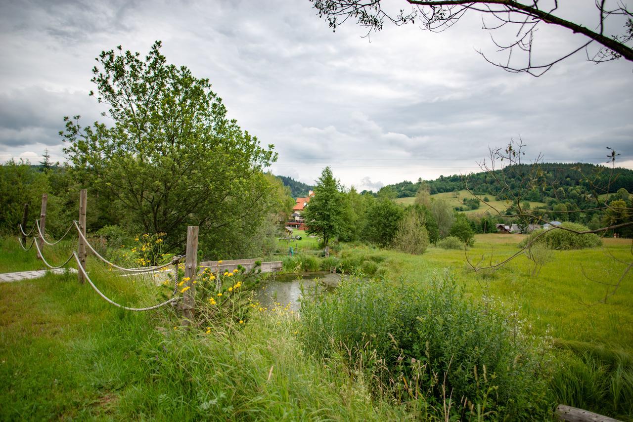 Bed and Breakfast Gosciniec Pieciu Stawow Устшики-Дольне Экстерьер фото