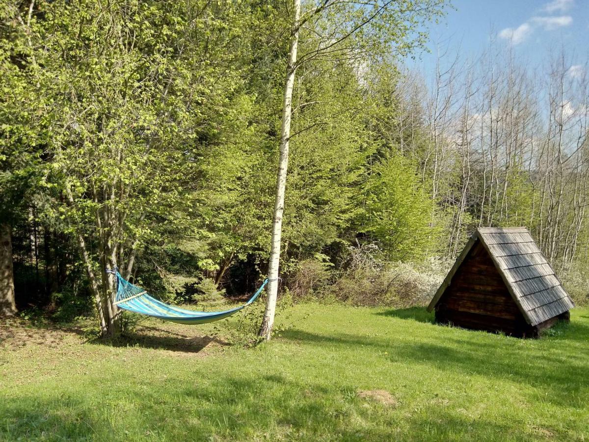 Bed and Breakfast Gosciniec Pieciu Stawow Устшики-Дольне Экстерьер фото