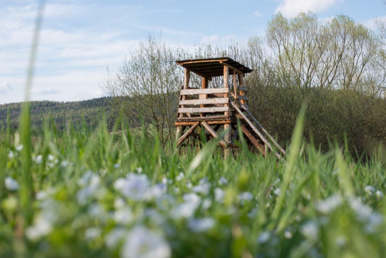 Bed and Breakfast Gosciniec Pieciu Stawow Устшики-Дольне Экстерьер фото